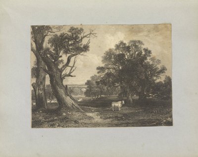 Pastoral Scene with Cows and Bulls by Unbekannt Unbekannt
